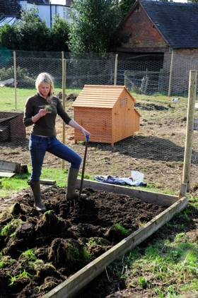 RAISED-VEG-BED-SM