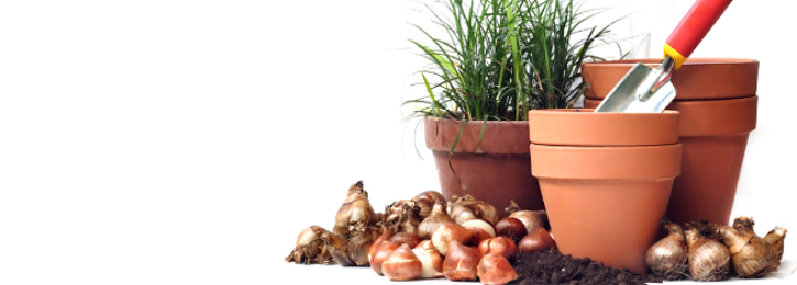 Garden Compost