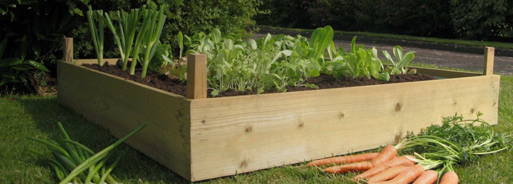 grow your own