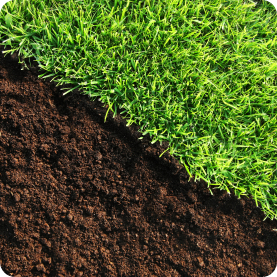 topsoil