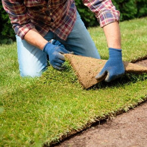 how to lay turf