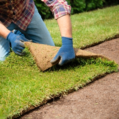 when to lay turf