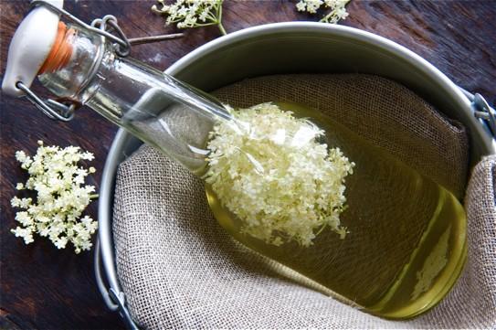 b2ap3 large elderflower recipes