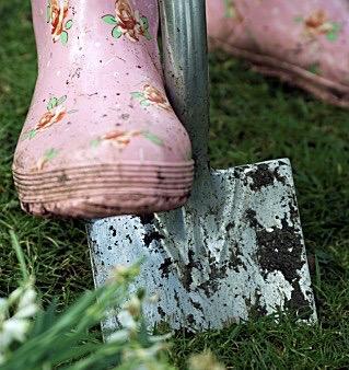 pink wellies snowdrops