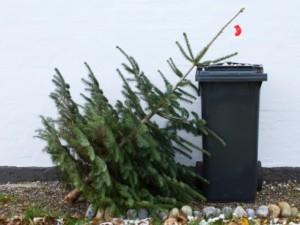 recycle christmas tree