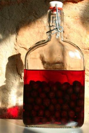 sloe gin bottle