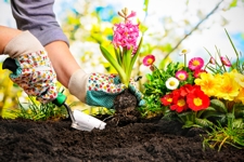 Sowing and Planting Accessories