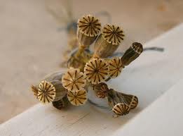 Poppy-Seeds