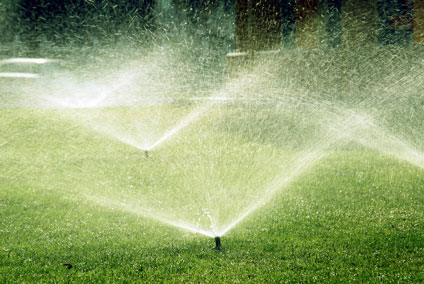 grass-sprinkler