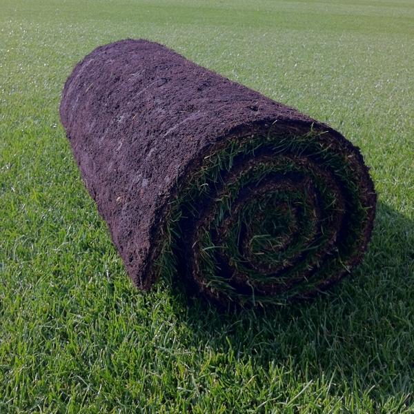 turf roll