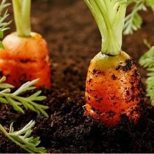 Composts