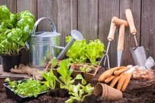 garden hand tools