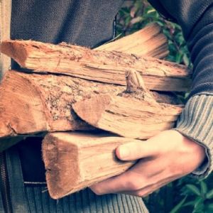 Kiln dried logs