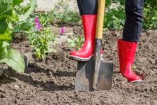 garden supplies online