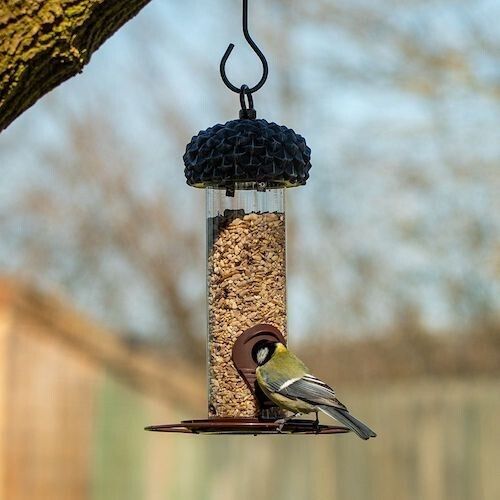 acorn silo bird feeder
